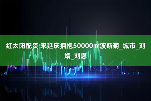 红太阳配资 来延庆拥抱50000㎡波斯菊_城市_刘婧_刘恩