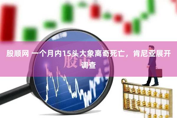 股顺网 一个月内15头大象离奇死亡，肯尼亚展开调查